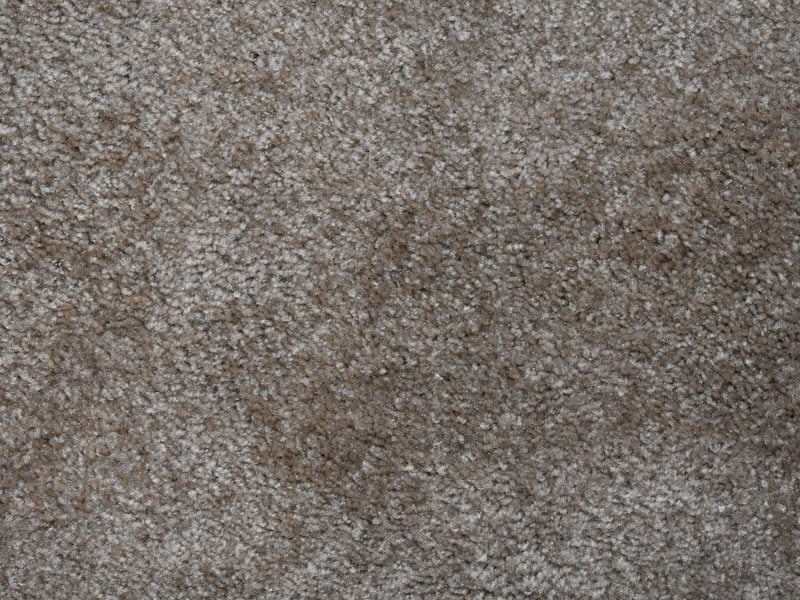 Carpet with the traffic lane cleaned and color restored